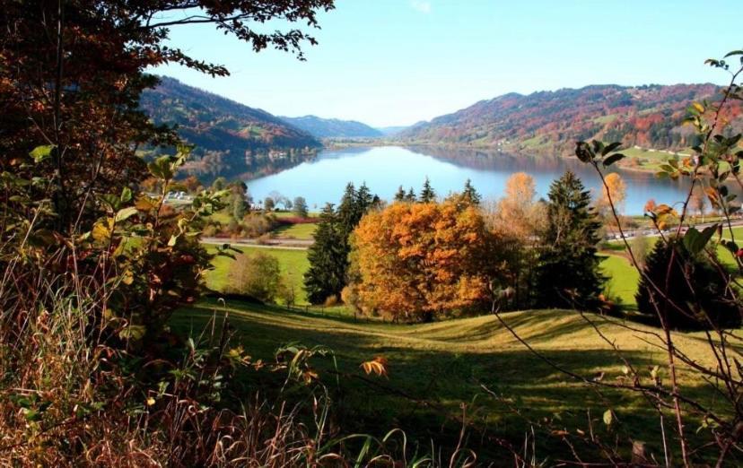 Fewo Alpenwiese Mit Hallenbad&Sauna Missen-Wilhams Kültér fotó